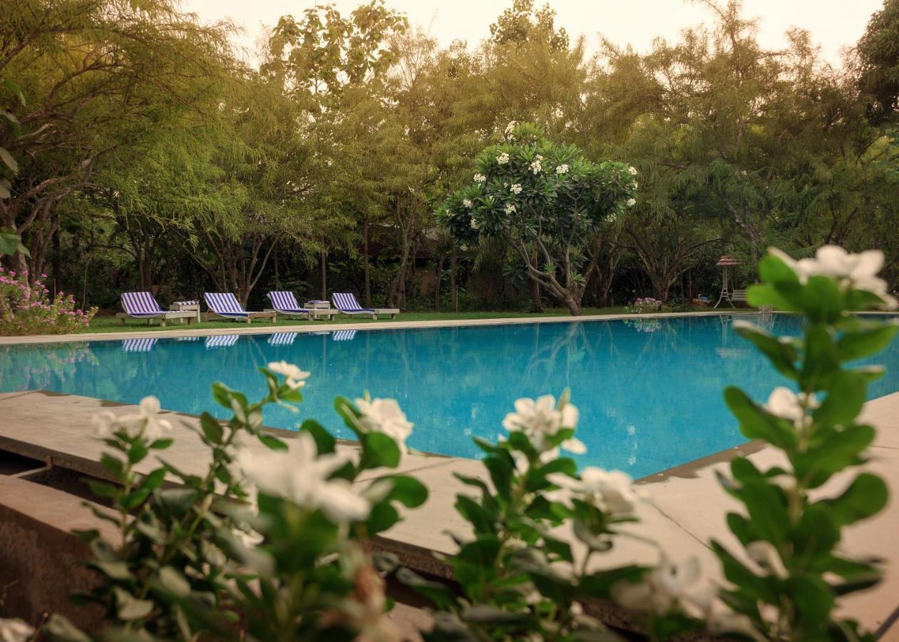 Pushkarorganic - Lux Farm Resort With Pool Екстериор снимка